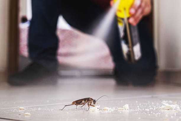 Best Affordable Pest Control Services  in Pitman, NJ